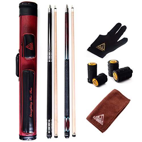 Pool Cue Sticks with Case P946