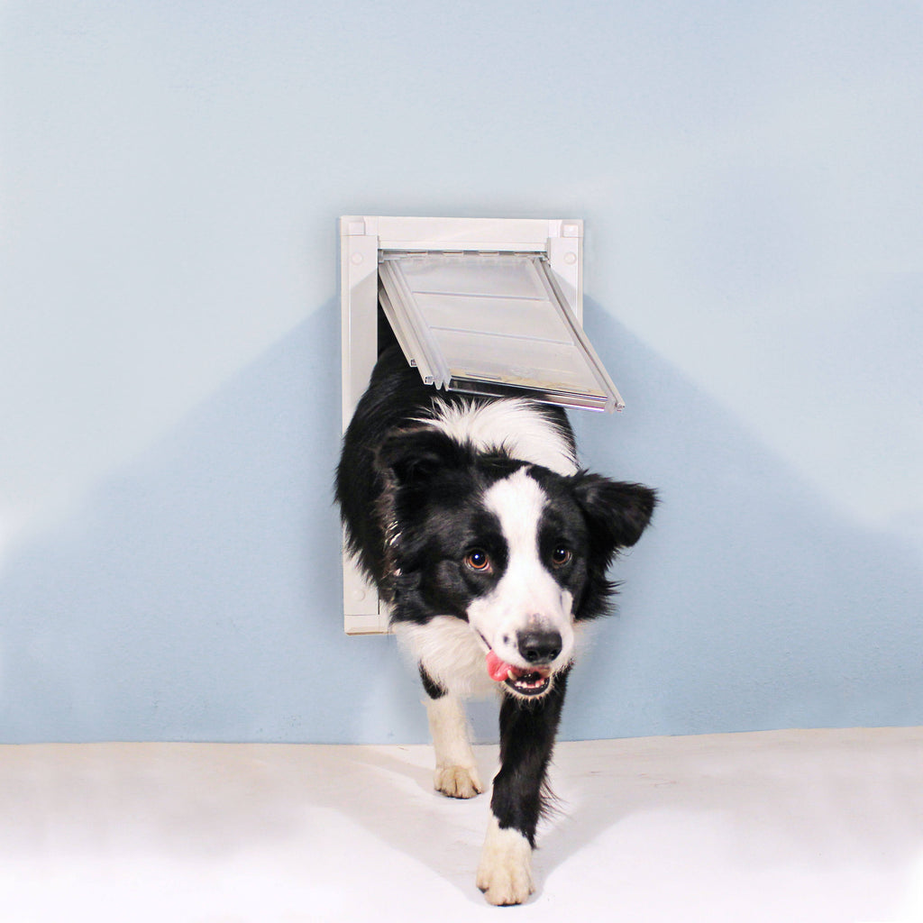 Single Flap Wall Mount Pet Door T872