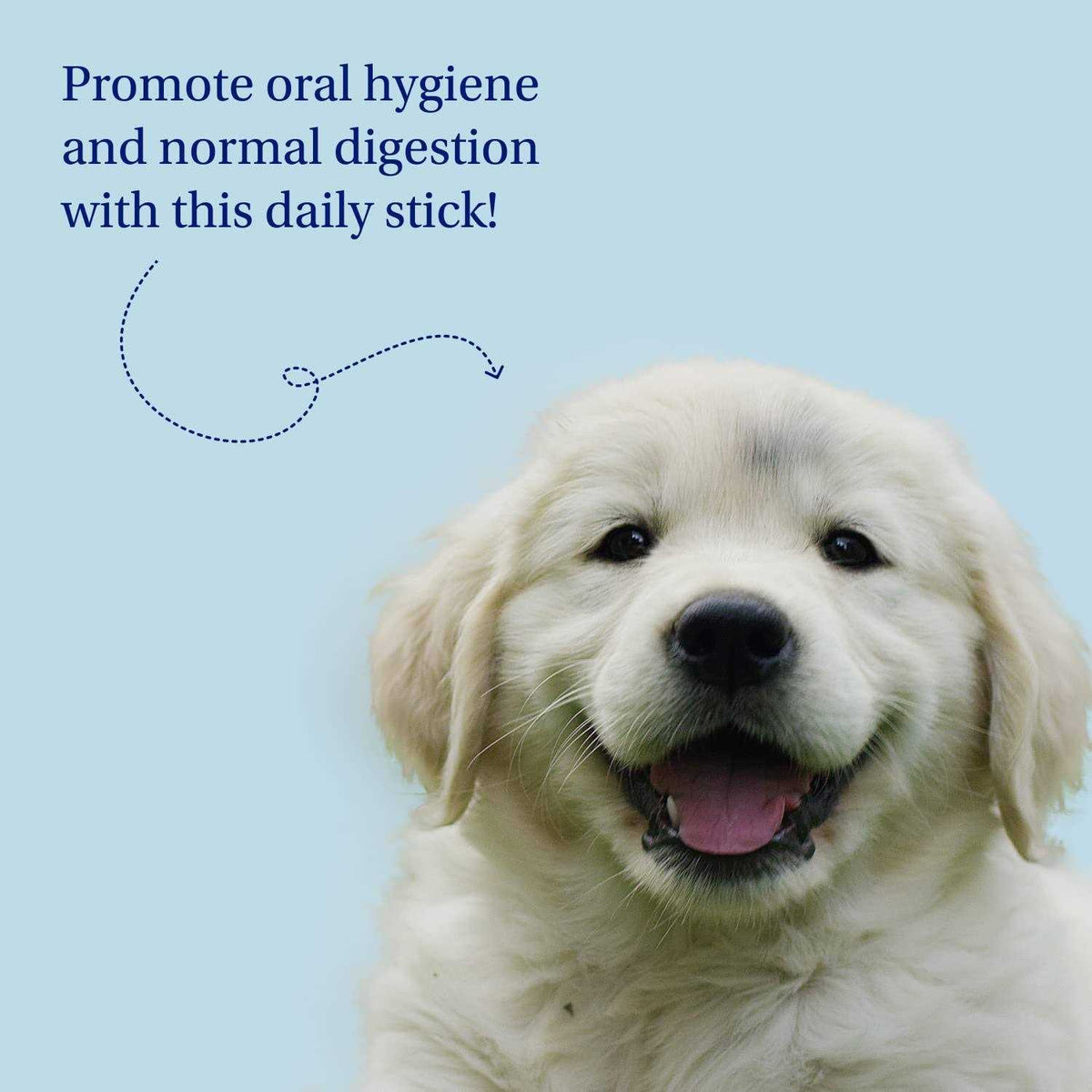 Dental Sticks Dog Dental Chews Z46536