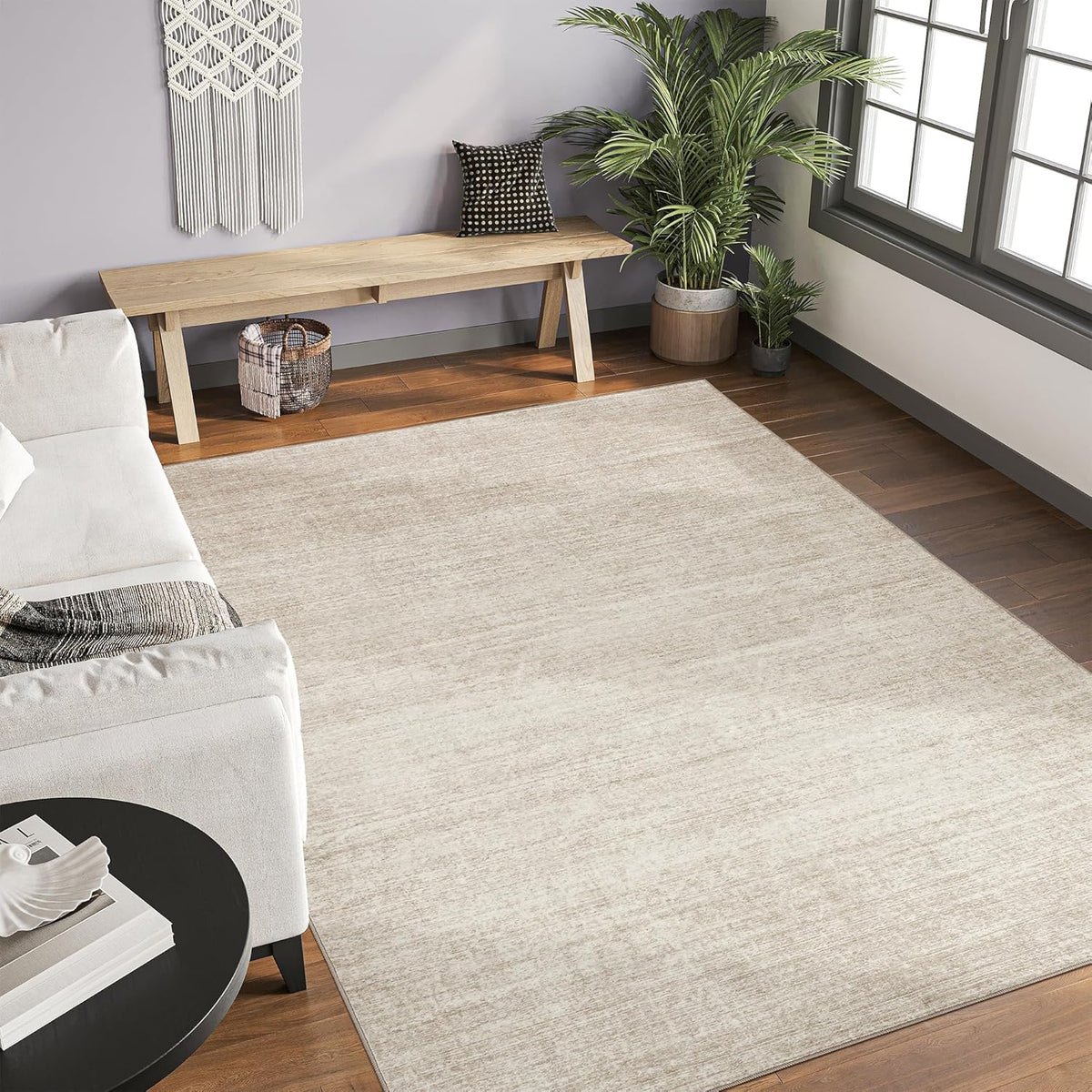 Washable 5x7 Beige Area Rug E498