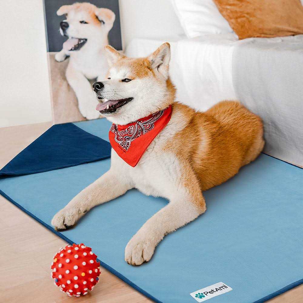 Waterproof Dog Cat Couch Cover Z3291