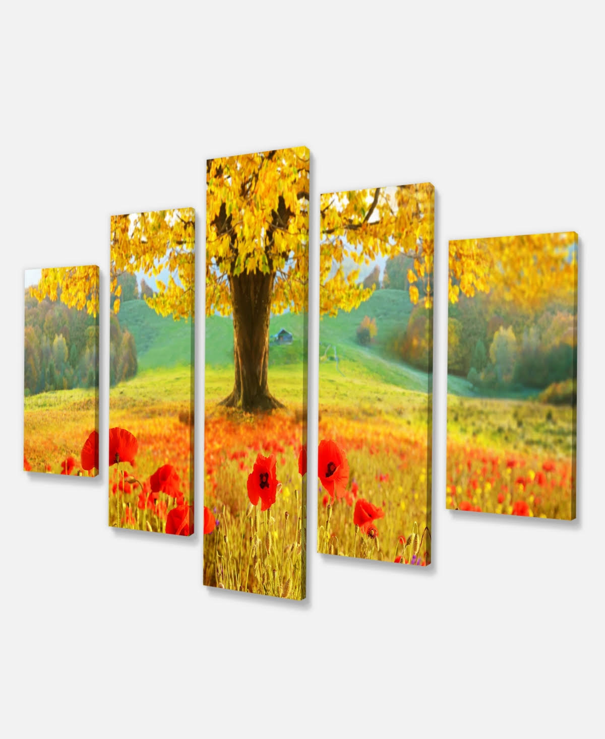 Modern Floral Canvas Art - 60x32 5 Panels X85041