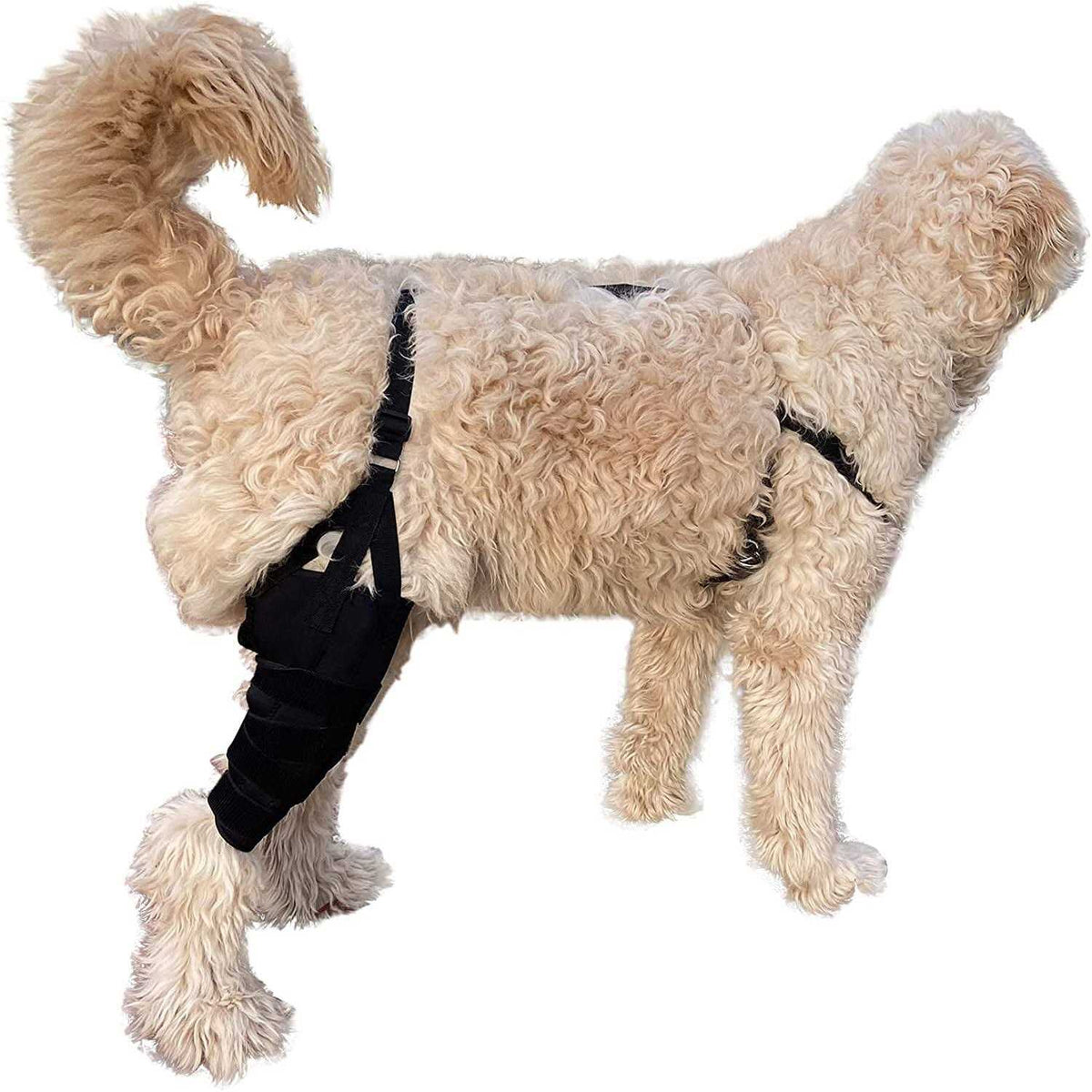Dog Knee Brace H6523