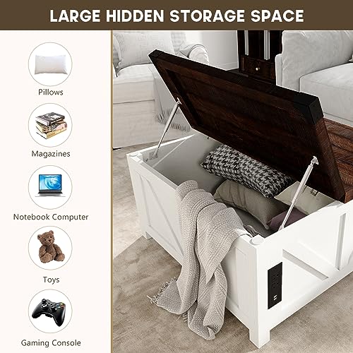 Brown Wood Lift Top Coffee Table with Storage and USB Port S69093