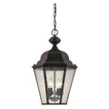 13-Inch Wide Hanging Traditional Oiled Bronze Q404