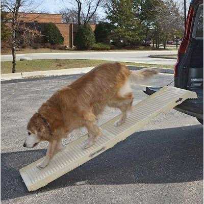 Folding Dog Ramp U449