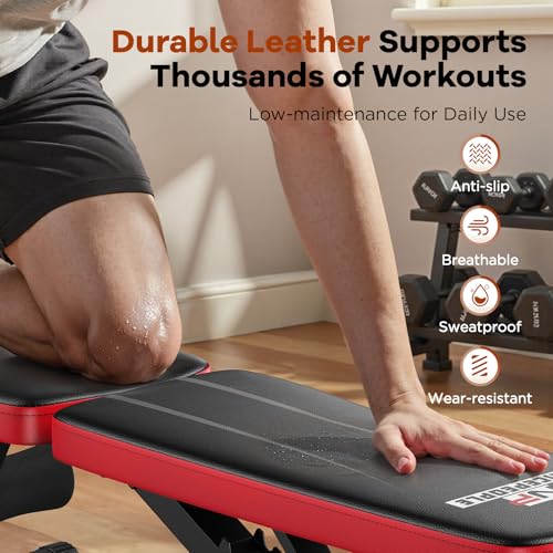 Foldable Adjustable Weight Bench H6532