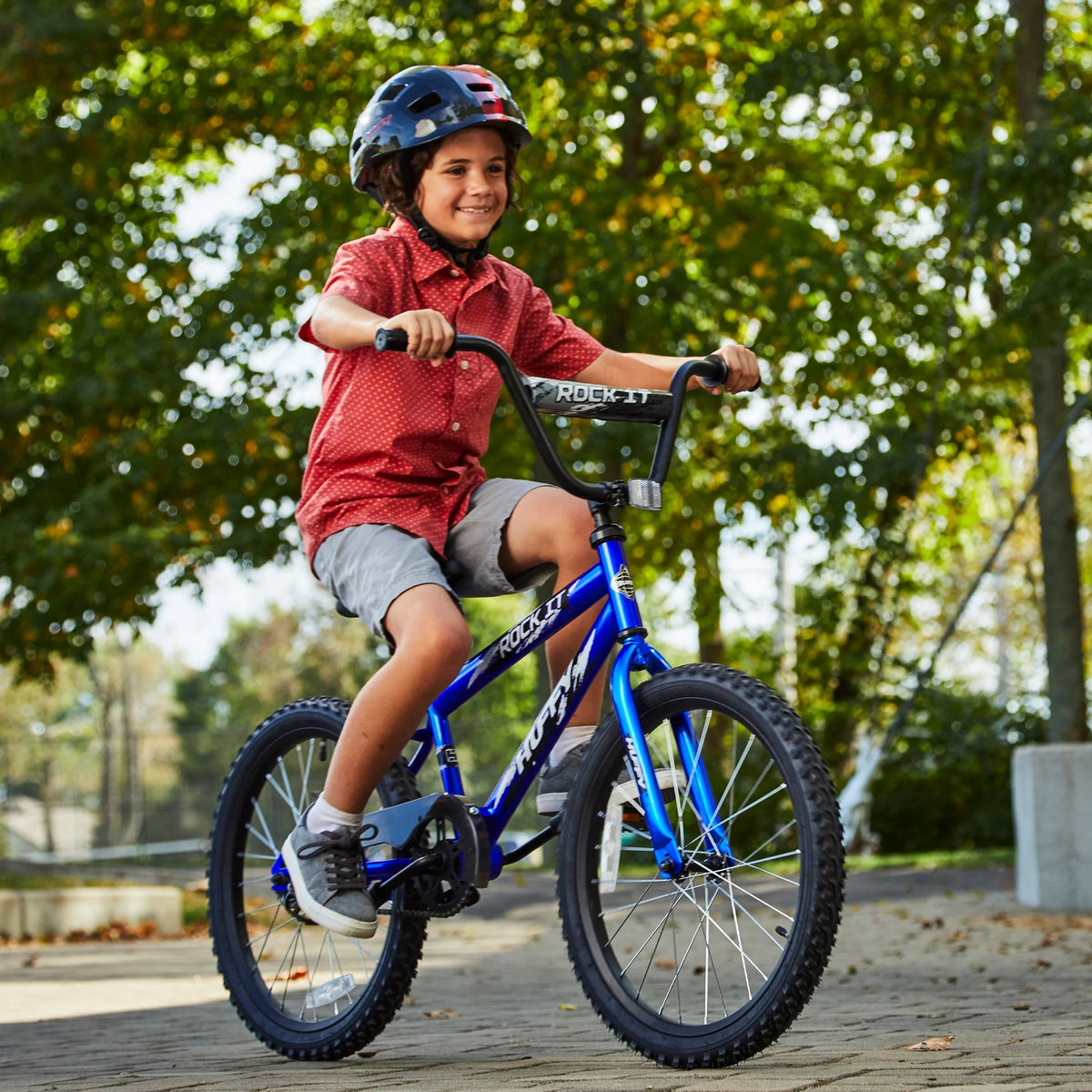 Royal Blue 20 in. Kids Bike N2459