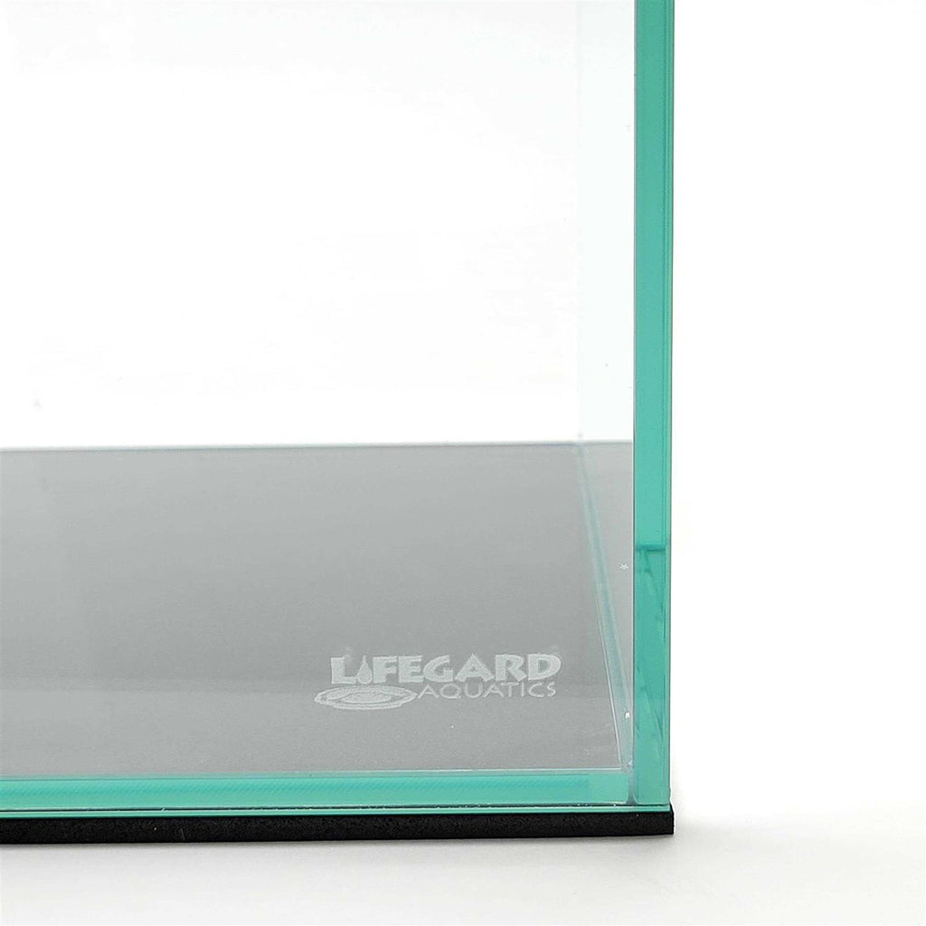 Clear Glass Aquarium D55619