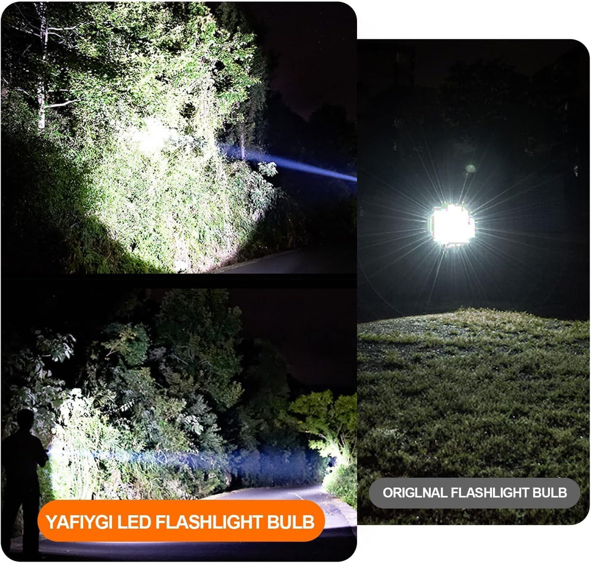 4 Pack LED Flashlight Bulb P13.5S PR2 3W 3V 4.5V 6V White Replacement Set C8501