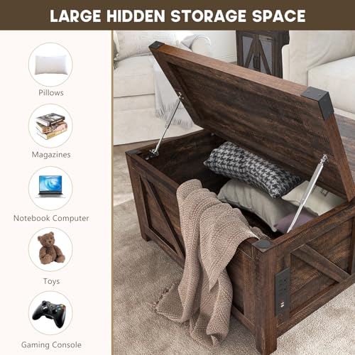 Brown Wood Lift Top Coffee Table with Storage and USB Port S69093