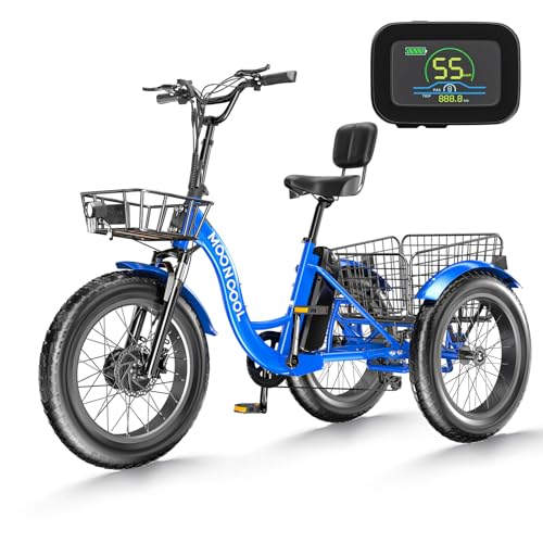 20" x 4" Fat Tire 48V 500W 3 Wheels 7 Speed Electric Tricycle with Removable Battery C159215
