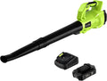 Cordless Leaf Blower with Battery & Charger V57064