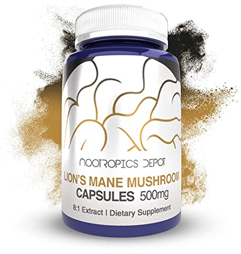 Lions Mane Mushroom Capsules 500mg 60 Count H1302