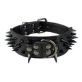 2 Inch Leather Dog Collar K149