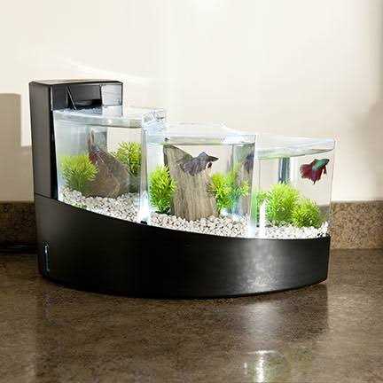 Betta Fish Tank U280