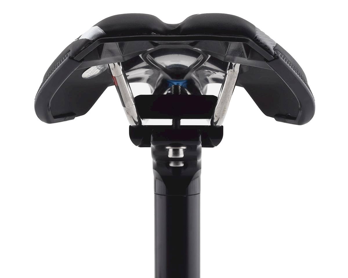 Black Saddle Q414093
