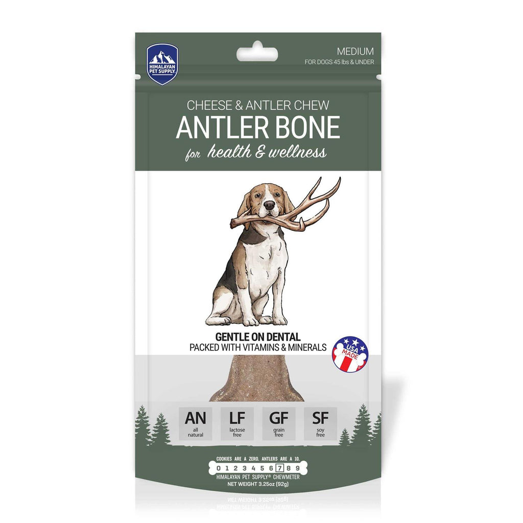 Antler Bone Dog Chew Y4568