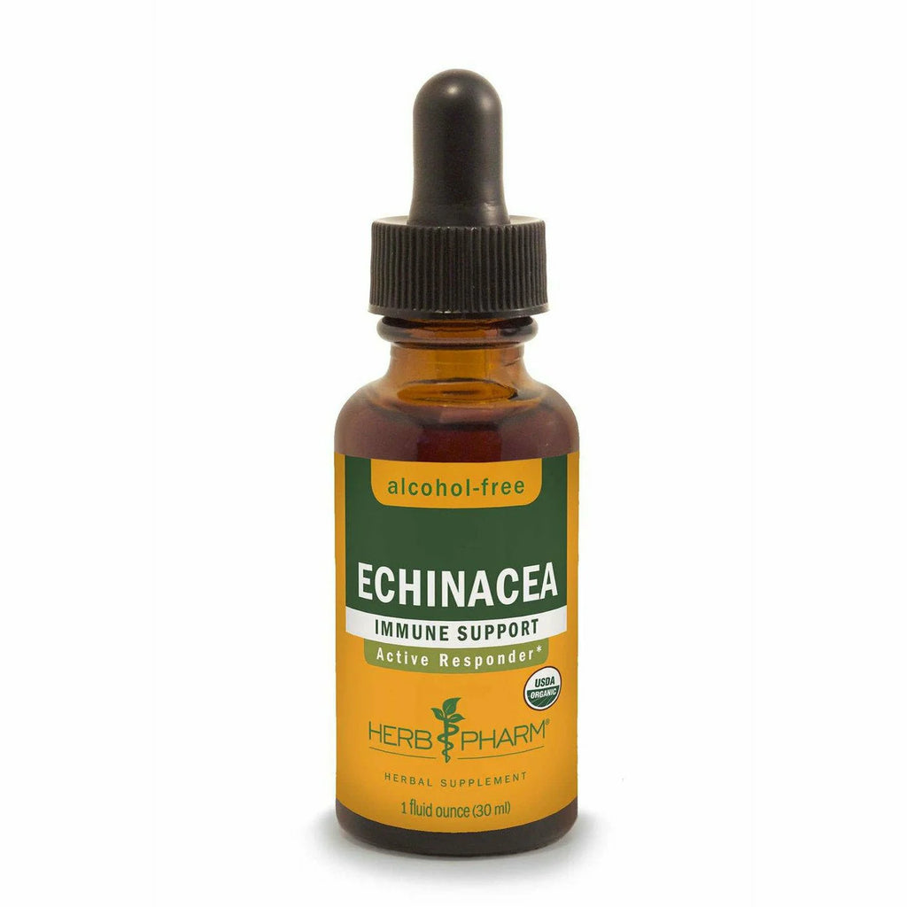 Echinacea Alcohol-Free P519