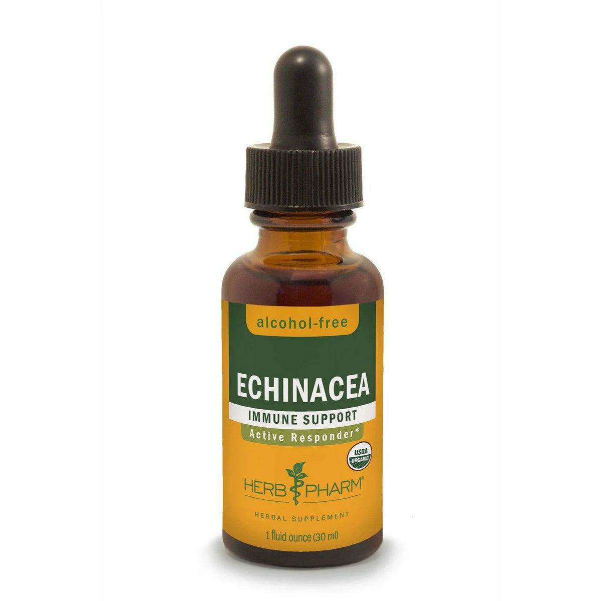 Echinacea Alcohol-Free P519