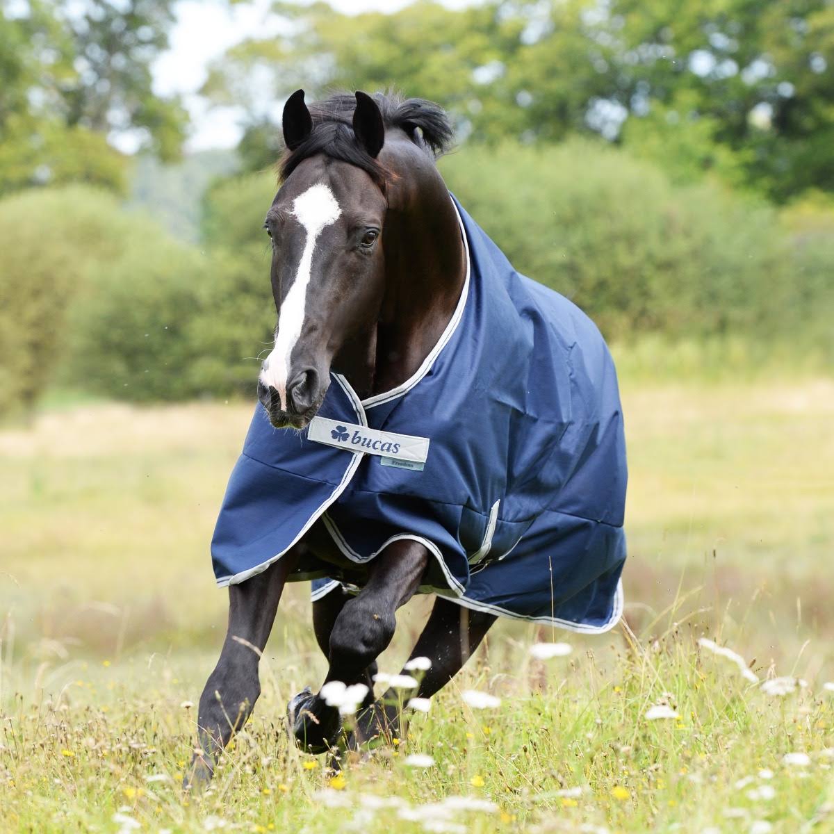 Navy 300g Turnout P6305