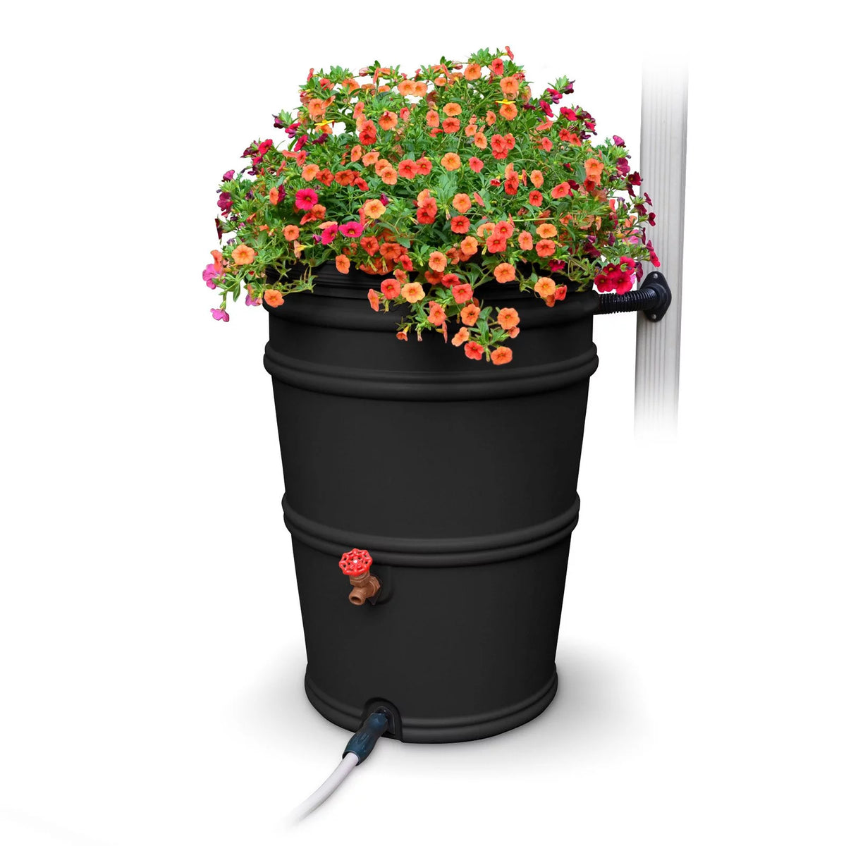 45 gal. Recycled Black Rain Barrel with Diverter System I304719