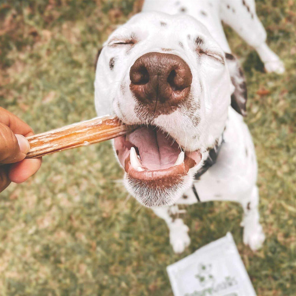 Natural Beef Bully Sticks for Dogs Z851