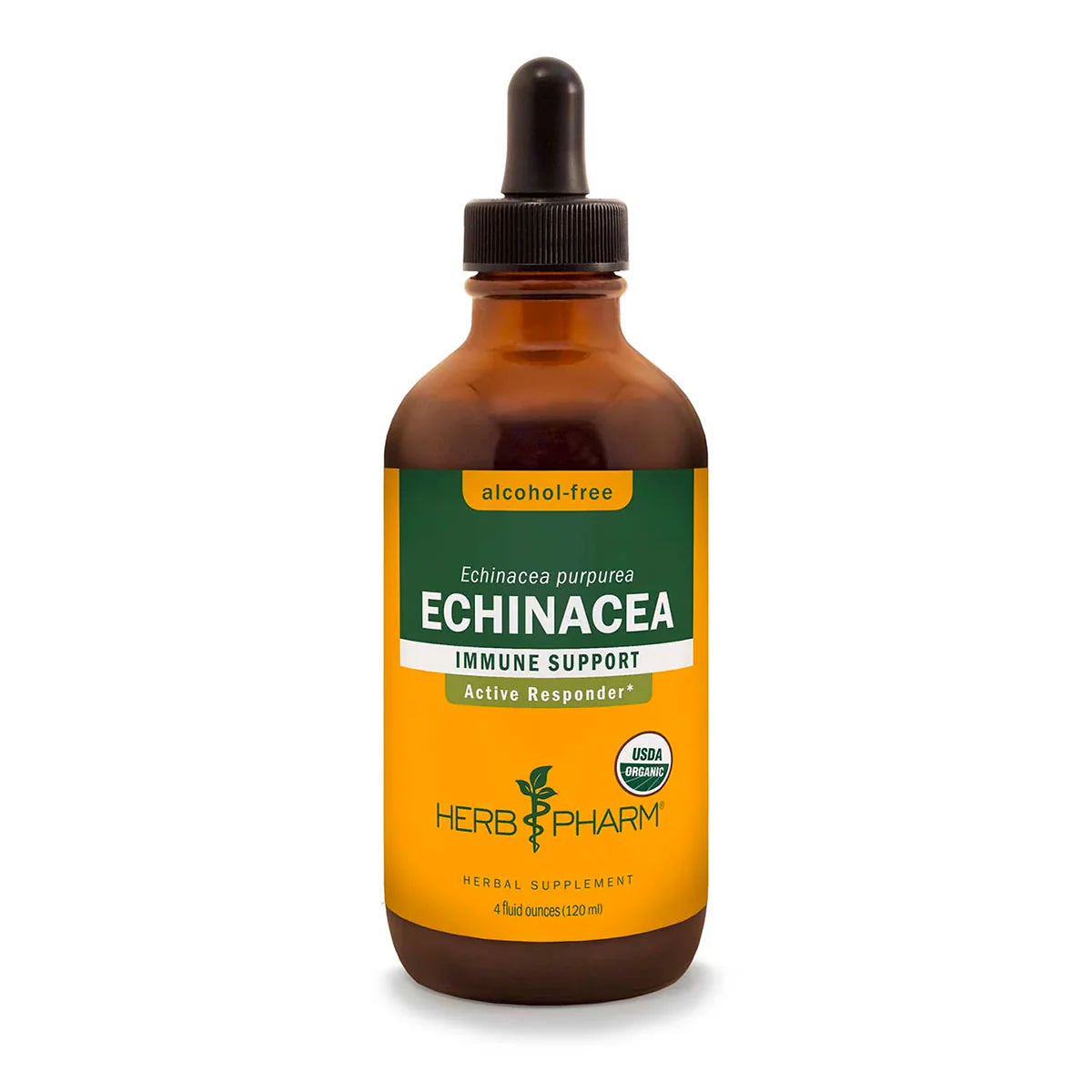 Echinacea Alcohol-Free P519
