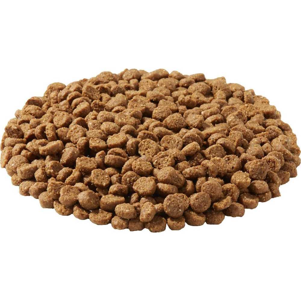 Dry Dog Food B765445