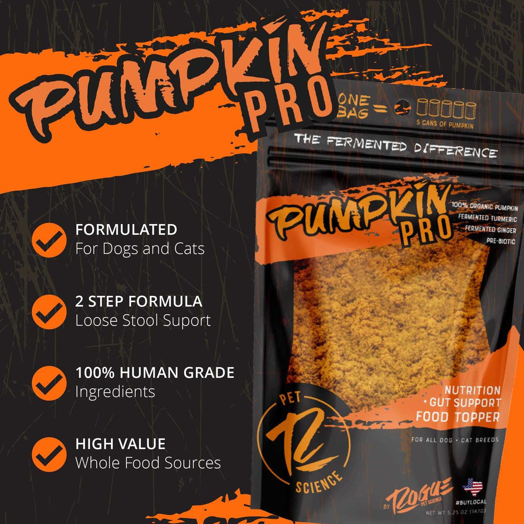 Pumpkin Dog Food Topper N3337