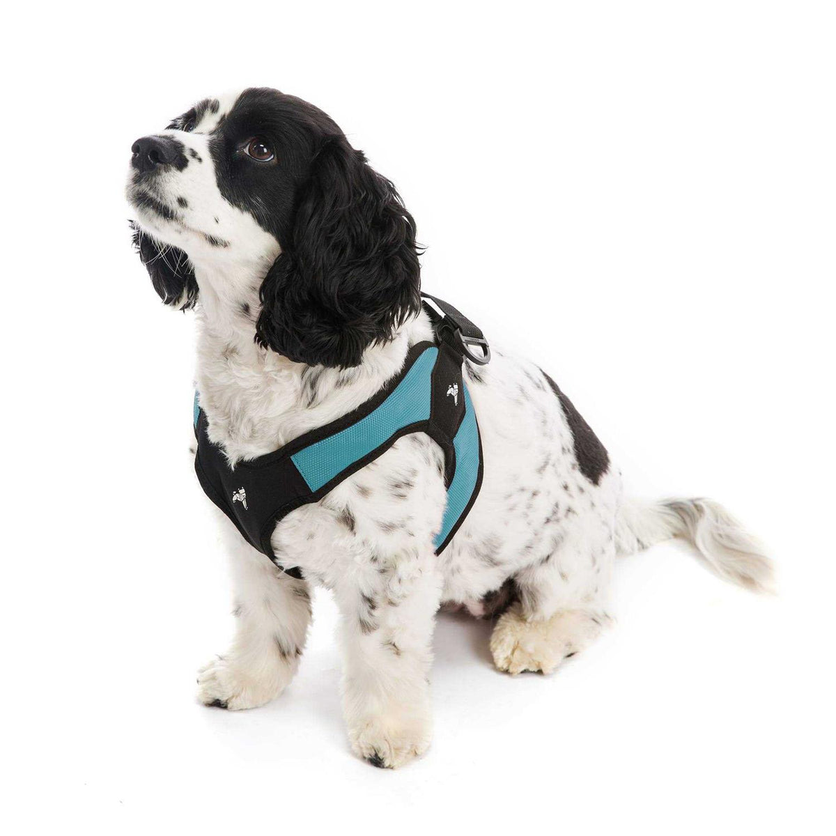 Dog Harness R86880