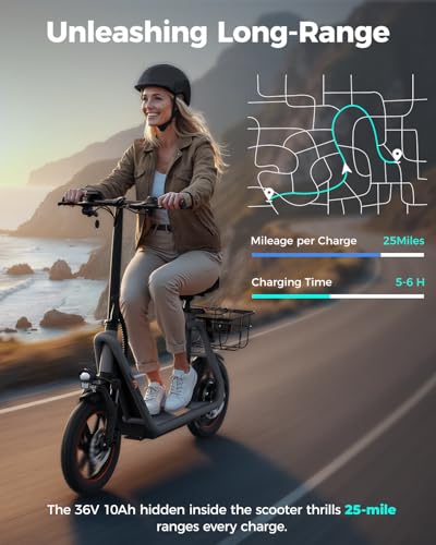 Electric Scooter with Seat, Front Suspension, Turn Signal C302