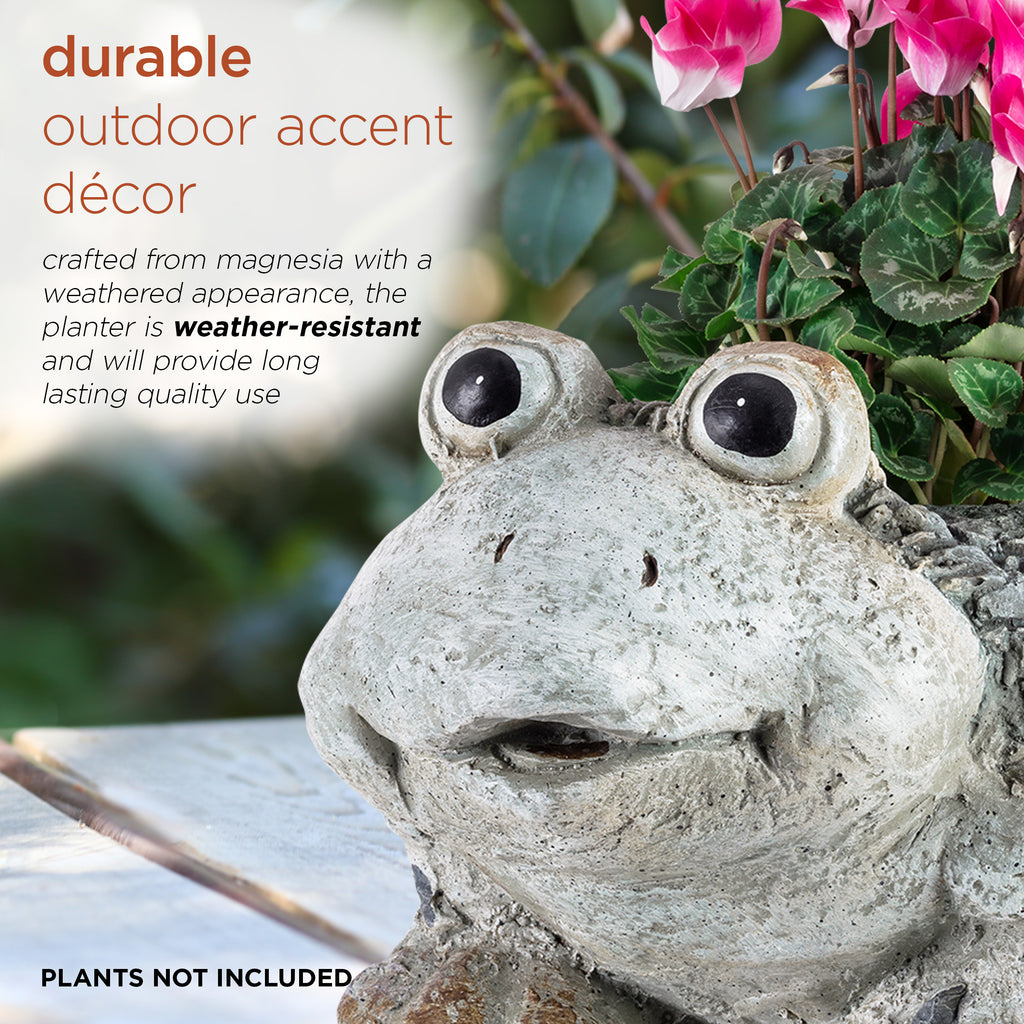 Ceramic Frog Planter, Gray N637