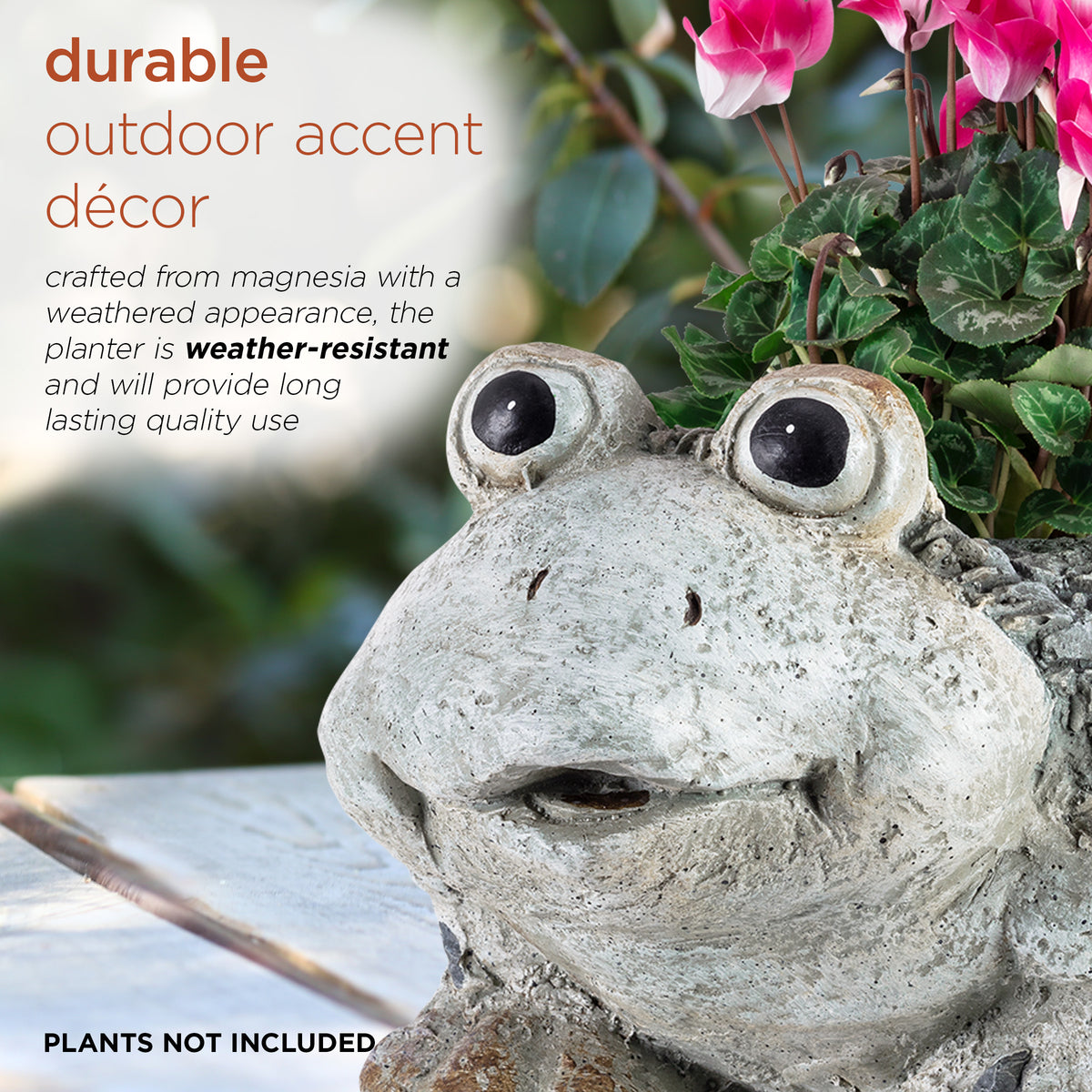 Ceramic Frog Planter, Gray N637