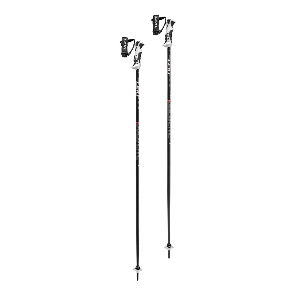 Ski Poles L51497