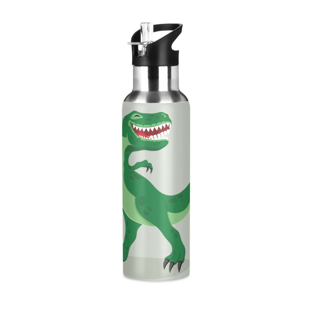 Stainless Steel Vacuum Insulated Water Bottle with Straw Lid 20 OZ N795