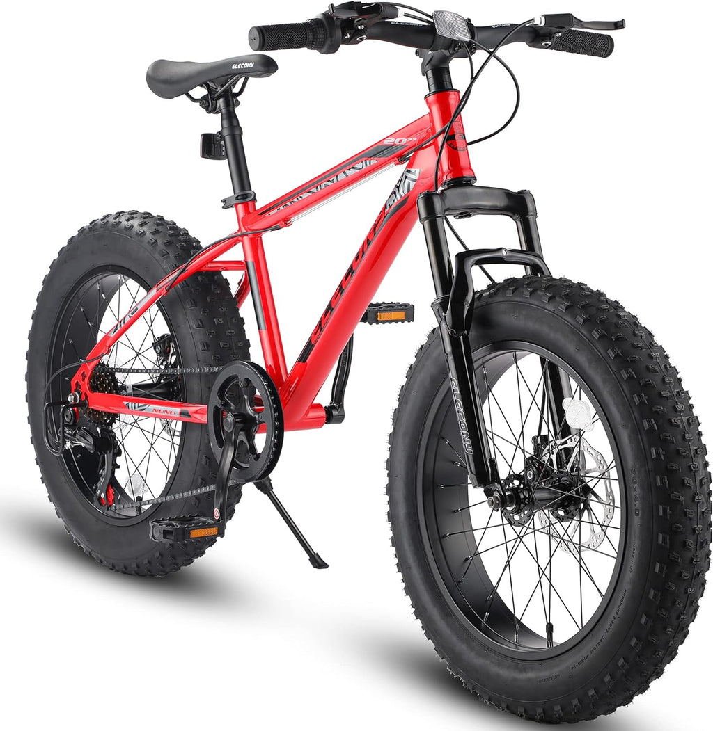 26/20 Inch Fat Tire Mountain Bike T831911