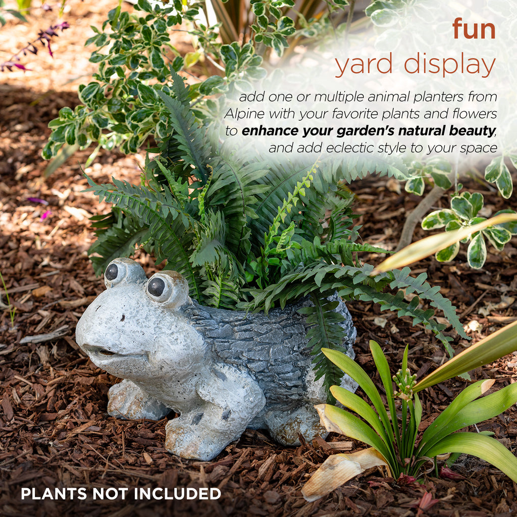 Ceramic Frog Planter, Gray N637