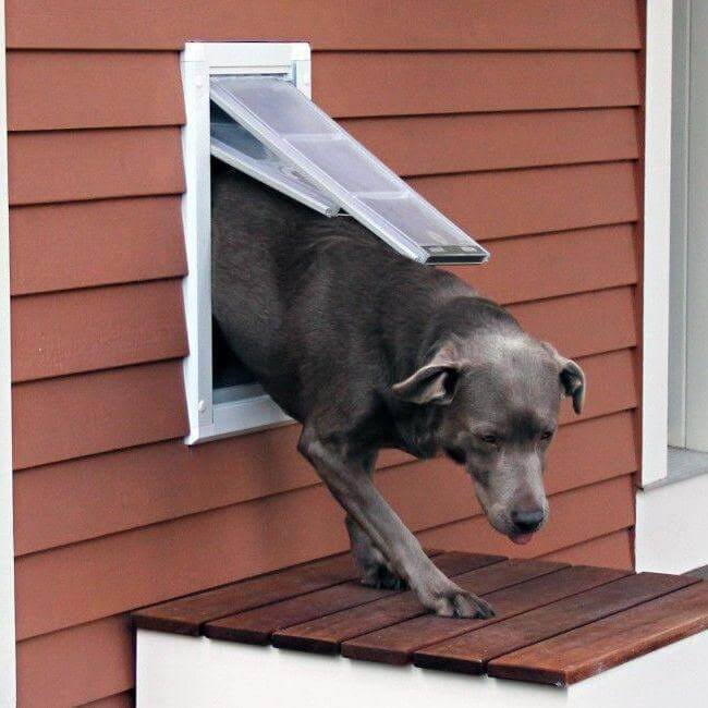 Single Flap Wall Mount Pet Door T872