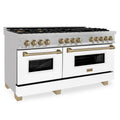 60 in. Gas Stove Electric Oven Range X603