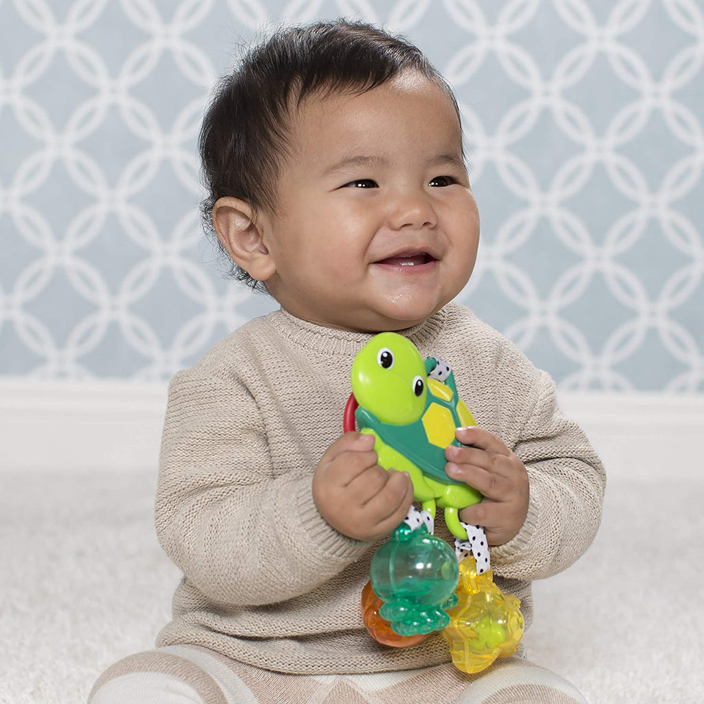 Turtle Rattle Q523154