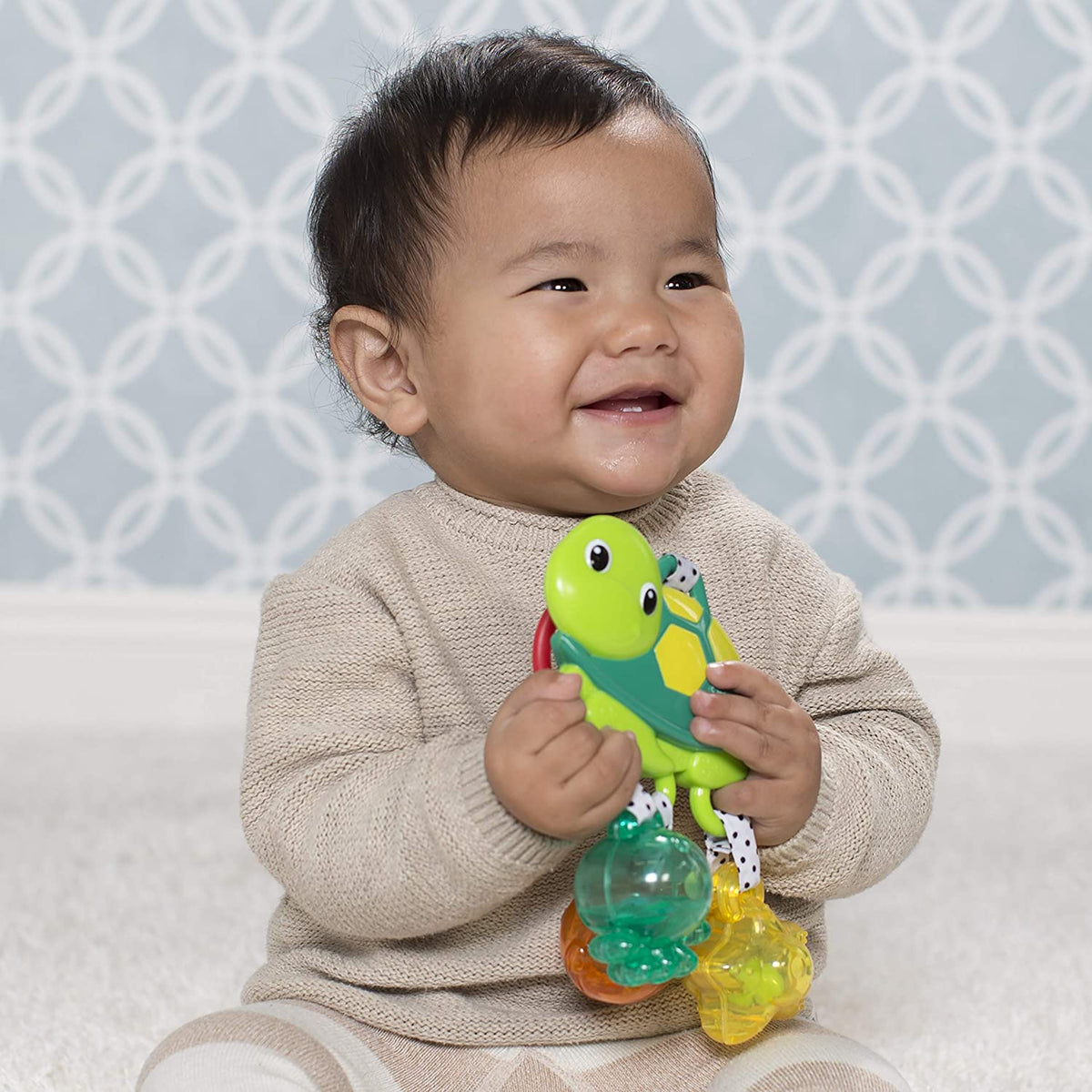 Turtle Rattle Q523154