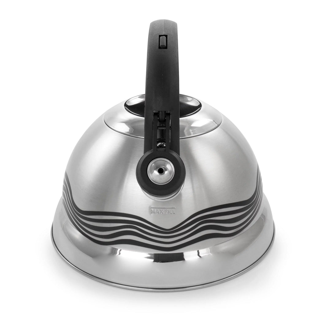 Stainless Steel Whistling Tea Kettle E6069