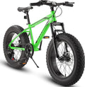 26/20 Inch Fat Tire Mountain Bike T831911