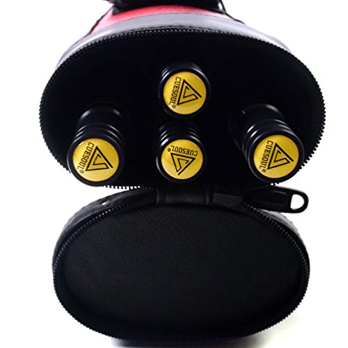 Pool Cue Sticks with Case P946
