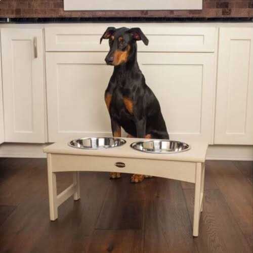 Pet Feeder U374