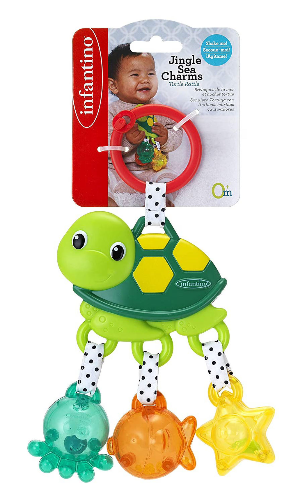 Turtle Rattle Q523154