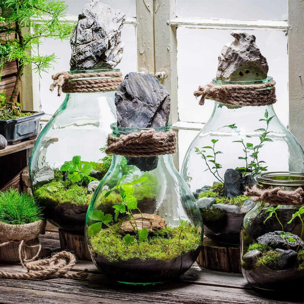Terrarium Potting Soil Mix N4400