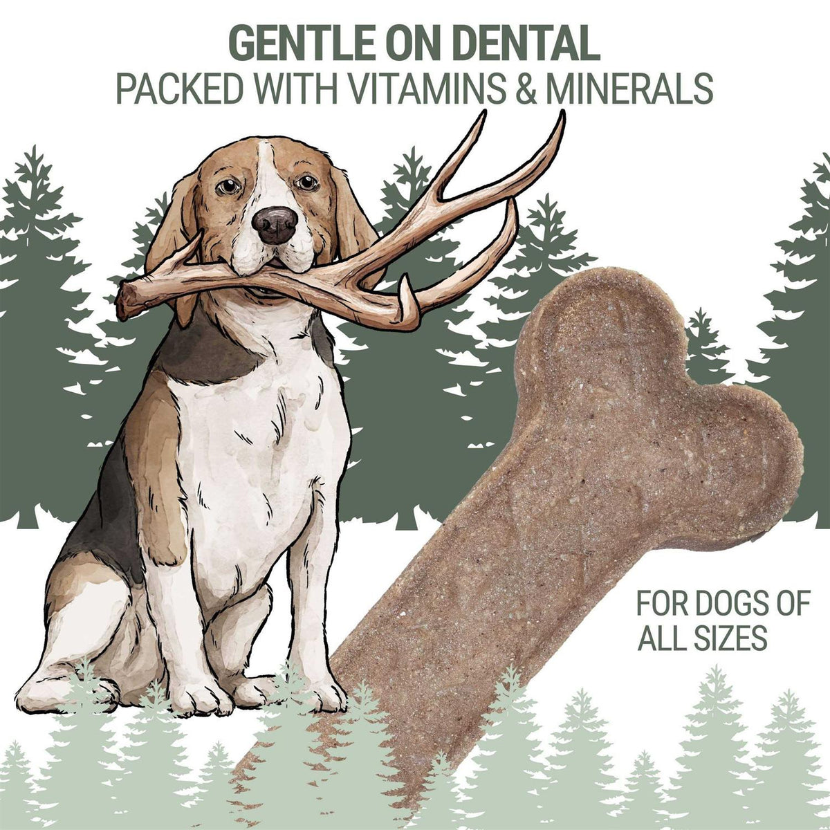 Antler Bone Dog Chew Y4568